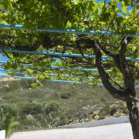 Appartement Maistros Sea View Kéfalos